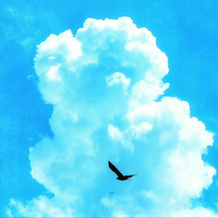 ヒューマンドラマ